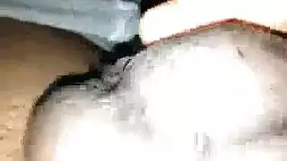 قضيب كبير يبلع السائل المنوي من الخصيتين الثقيلتين