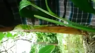 سكس منرجم قوي