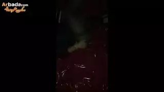 وسيم ينيك لبنانيه