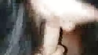 الديك المحبة في حالة سكر البغايا