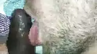 شقراء لا تشبع تمص قضيب شريكها ثم تخلع ملابسها لفيديو ساخن