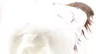 تجميع ثمينة العاهرة لمص القضيب وعمق الحلق إكس إكس إكس