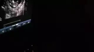 Xxxn police américain xxxb8b5uwwn4cp3z