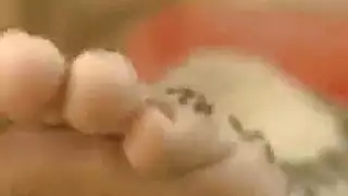 أفلام إباحية بيروتية كلاسيكية: جماع صريح مع قذف على الوجه