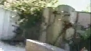 مهرجان مص و نيك مع رانيا وفريد شوقي