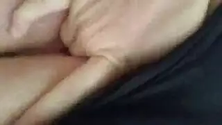 حيوان المزرعة يسيطر ويتكاثر مع زميله