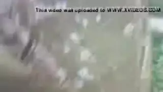 جلسة سكس الخنزير: شريط نيك بيسشوالتي