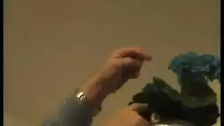 زواج هاوي صريح: يمارسان الجنس في كل وضع معروف