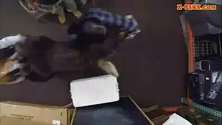 هاتف البروستات ملكة