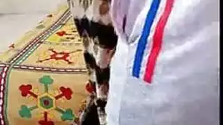 المجموعة العربدة نائب الرئيس غارق هنتاي