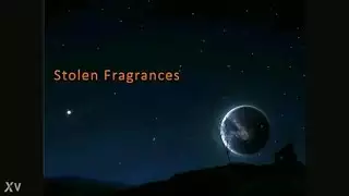 عطر مسروق: عبادة أصنام جنسية صريحة