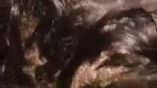 هؤلاء الفتيات المثيرة يحصلن على نيك مهبل شرس في جلسة تدليك حارة