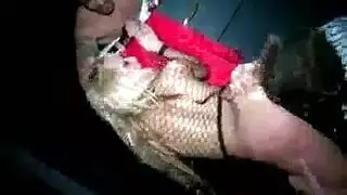 إساءة لفرج مراهقة وإثارة صريحة للبظر جلسة خشنة