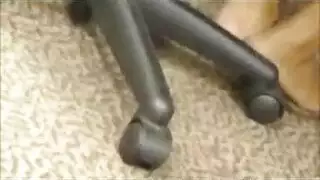 لعق قدم عربيه