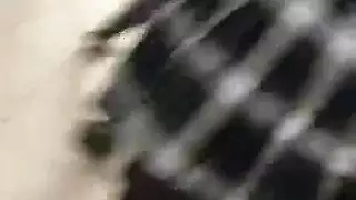 سكس كاثي مترجم