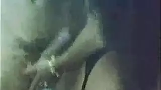 نبك قصار القامة