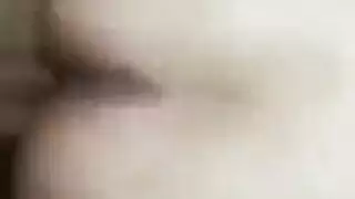 تقلع فالحمام