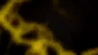 أحمر الشعر جبهة مورو الكسيس دين جونزو اللسان