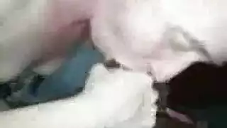 شقراء وصديقها في جنس هاوي ساخن مع حديث قذر
