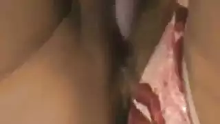 ممارسة الجنس مع الحمير والحصين