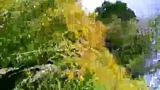 افلام سكس موقع سكس العرب