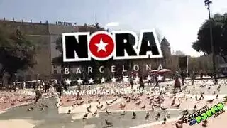 أفلام إباحية في الزنزانة: سجينات هولنديات يمارسن الجنس من أجل الحرية