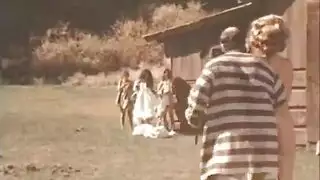 الجزاائرية دنيا