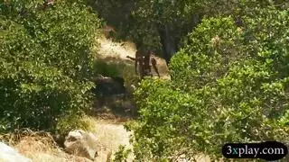 لقاء فندقي إكس إكس إكس: امرأتان تبهجان قضيب رجل صلب كالصخر
