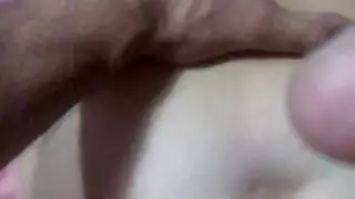 مصري ينيك أمة