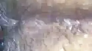 شغف بدائي: جنس خام صريح في البرية