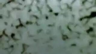 شاب عراقي مع اخت صاحبو