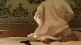 خيانة لندن: شيخ بترول ينكك فرج الخادمة المبلول بقوة