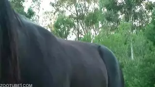 ميكي حصان مع بنت
