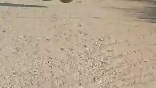 مراهقة نحيلة حمراء الشعر تُمارس معها الجنس بعمق في مشهد إباحي قاس