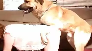 حركة كلب على امرأة جامحة: نيك كلب عنيف في مشهد بورن قاسي