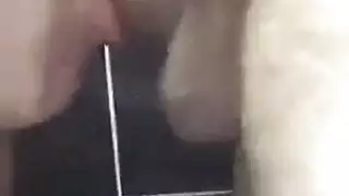 ثعالب عتيقات في إيلاج مزدوج قاسٍ