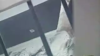 فيلم للكبار إيطالي كلاسيكي: جنس جماعي لابنة العراب