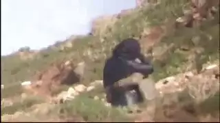 كس عربي يُنك على حافة جبلية خلابة