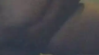 وفار عامر