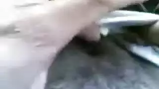 غريب كمال الاجسام الثدي