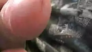 شاهد وحمّل أشرطة سكس أجنبية خام
