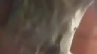 شيميل مثيرة تائقة للسائل المنوي الخاص بك