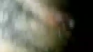 فلسطينس