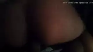 شيميل كلب
