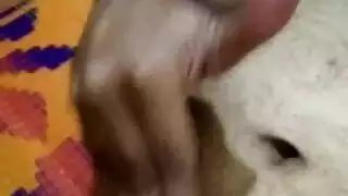 hardcore outdoor sex: tanned bears rough ride