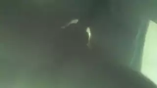 تحت قميس بدون حملت
