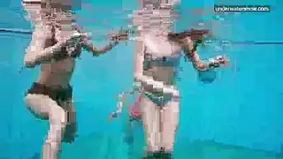 شسيب
