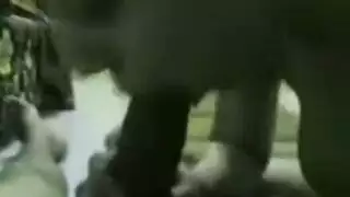 إباحية مصرية جديدة: فم مليء بالسجائر والمني