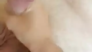 وضعية كلب بريّة: ضخ مؤخرتها كما في فيلم إباحي