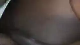 خشب الأبنوس البريء شقي